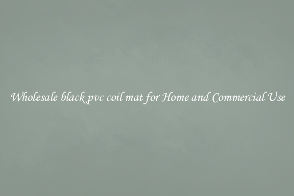 Wholesale black pvc coil mat for Home and Commercial Use