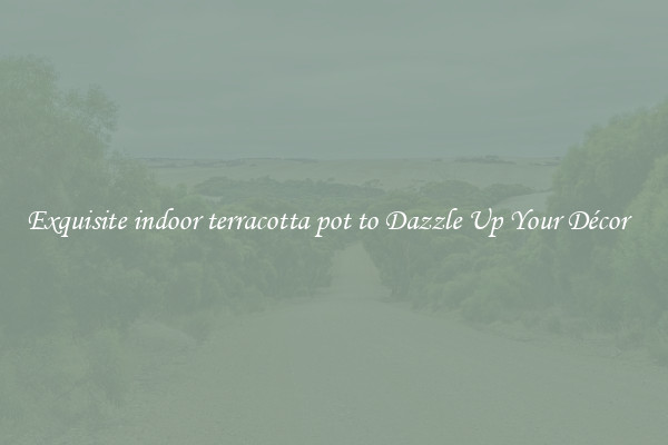 Exquisite indoor terracotta pot to Dazzle Up Your Décor  
