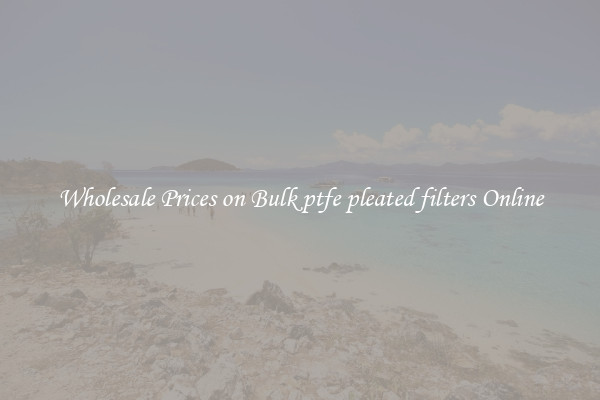 Wholesale Prices on Bulk ptfe pleated filters Online