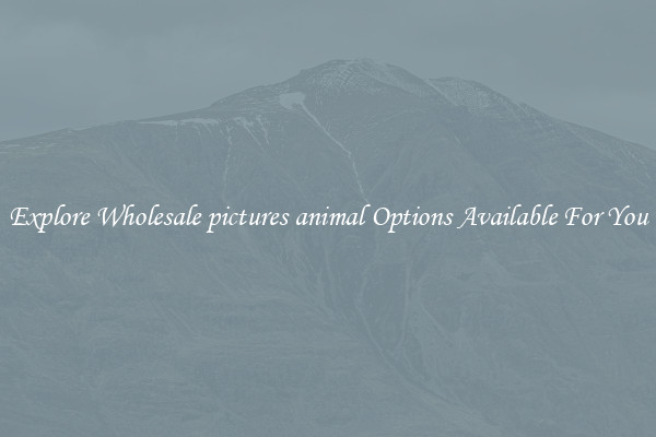 Explore Wholesale pictures animal Options Available For You