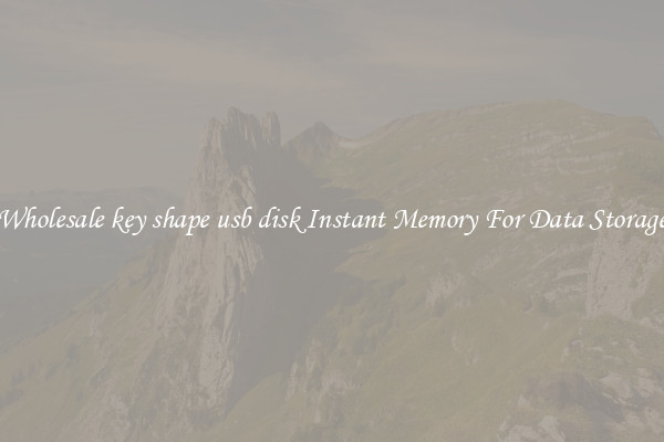 Wholesale key shape usb disk Instant Memory For Data Storage