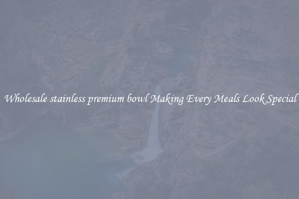 Wholesale stainless premium bowl Making Every Meals Look Special