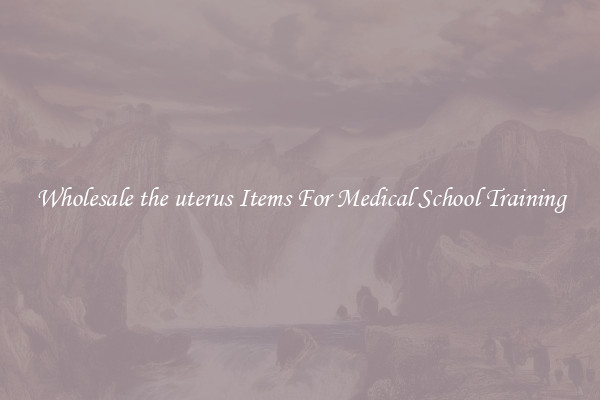 Wholesale the uterus Items For Medical School Training