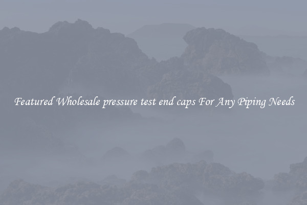 Featured Wholesale pressure test end caps For Any Piping Needs
