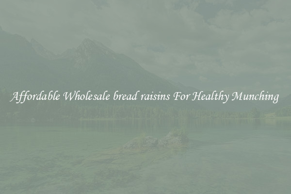Affordable Wholesale bread raisins For Healthy Munching 
