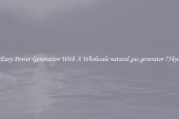 Easy Power Generation With A Wholesale natural gas generator 75kw