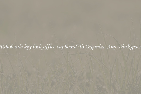 Wholesale key lock office cupboard To Organize Any Workspace