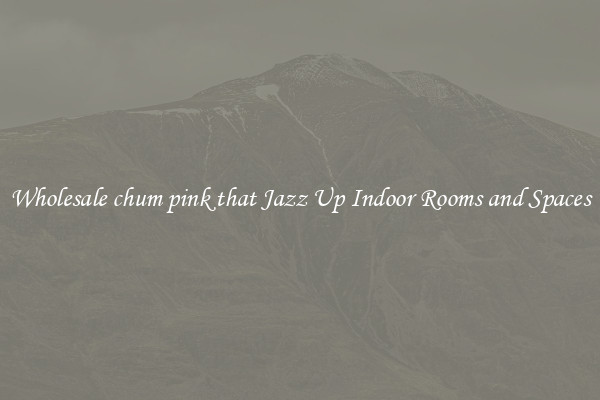 Wholesale chum pink that Jazz Up Indoor Rooms and Spaces