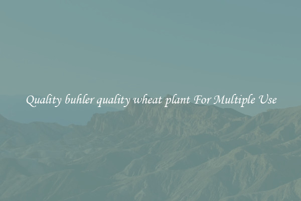 Quality buhler quality wheat plant For Multiple Use