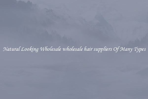 Natural Looking Wholesale wholesale hair suppliers Of Many Types