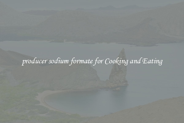 producer sodium formate for Cooking and Eating