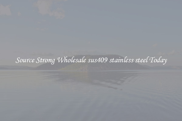 Source Strong Wholesale sus409 stainless steel Today