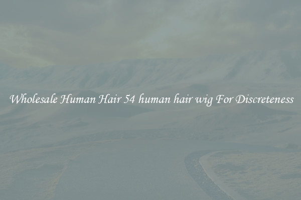 Wholesale Human Hair 54 human hair wig For Discreteness
